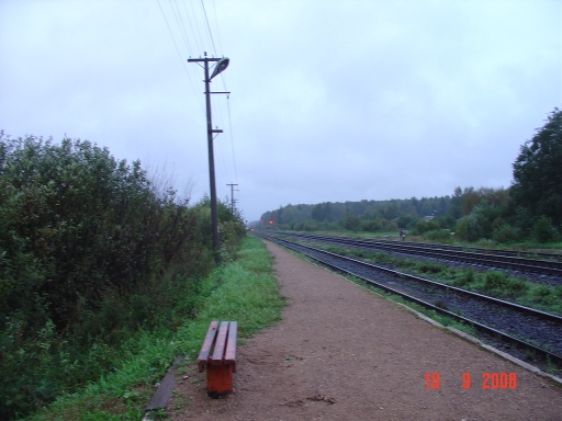 Вид от станции в сторону Москвы